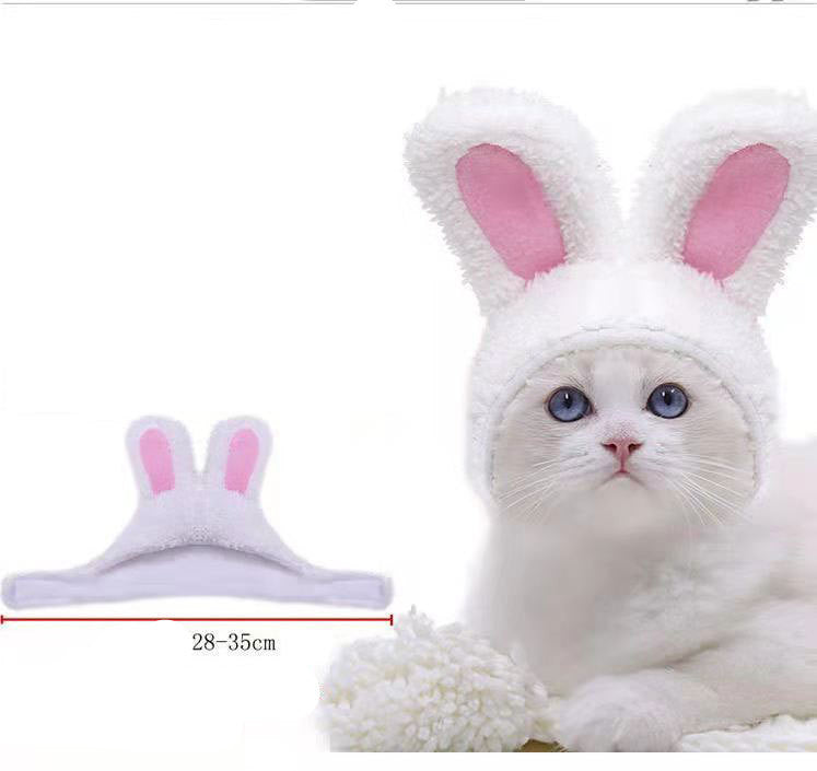 Funny Pet Costume Collection | Lion Mane, Bunny Ears & Birthday Hats for Dogs & Cats | Cute Cosplay Accessories for Pets