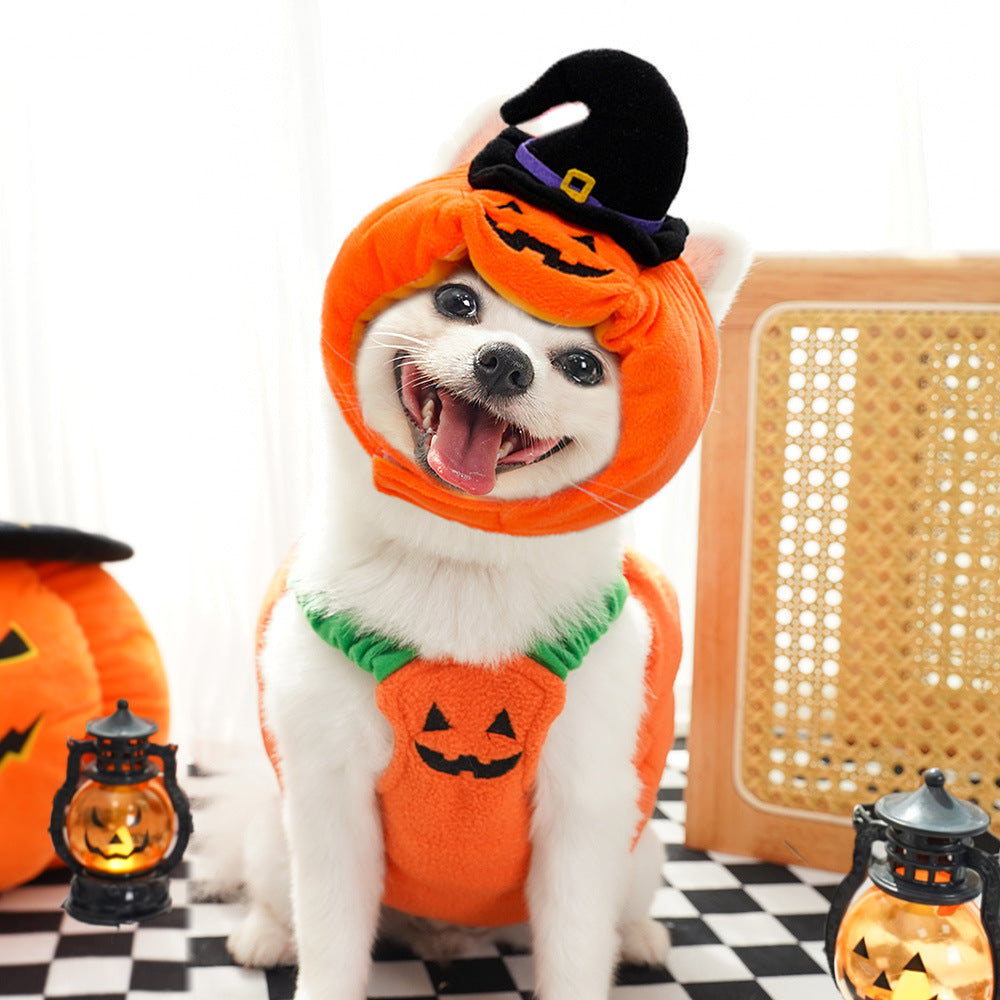 Halloween Costume for Pets | Funny Pumpkin Outfit for Dogs & Cats | Soft Festive Clothes for Small Pets