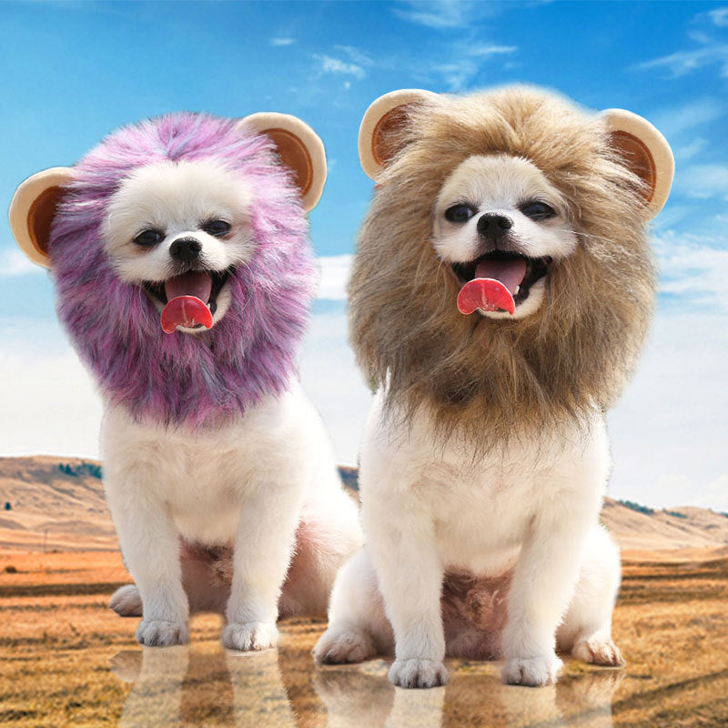 Funny Pet Costume Collection | Lion Mane, Bunny Ears & Birthday Hats for Dogs & Cats | Cute Cosplay Accessories for Pets