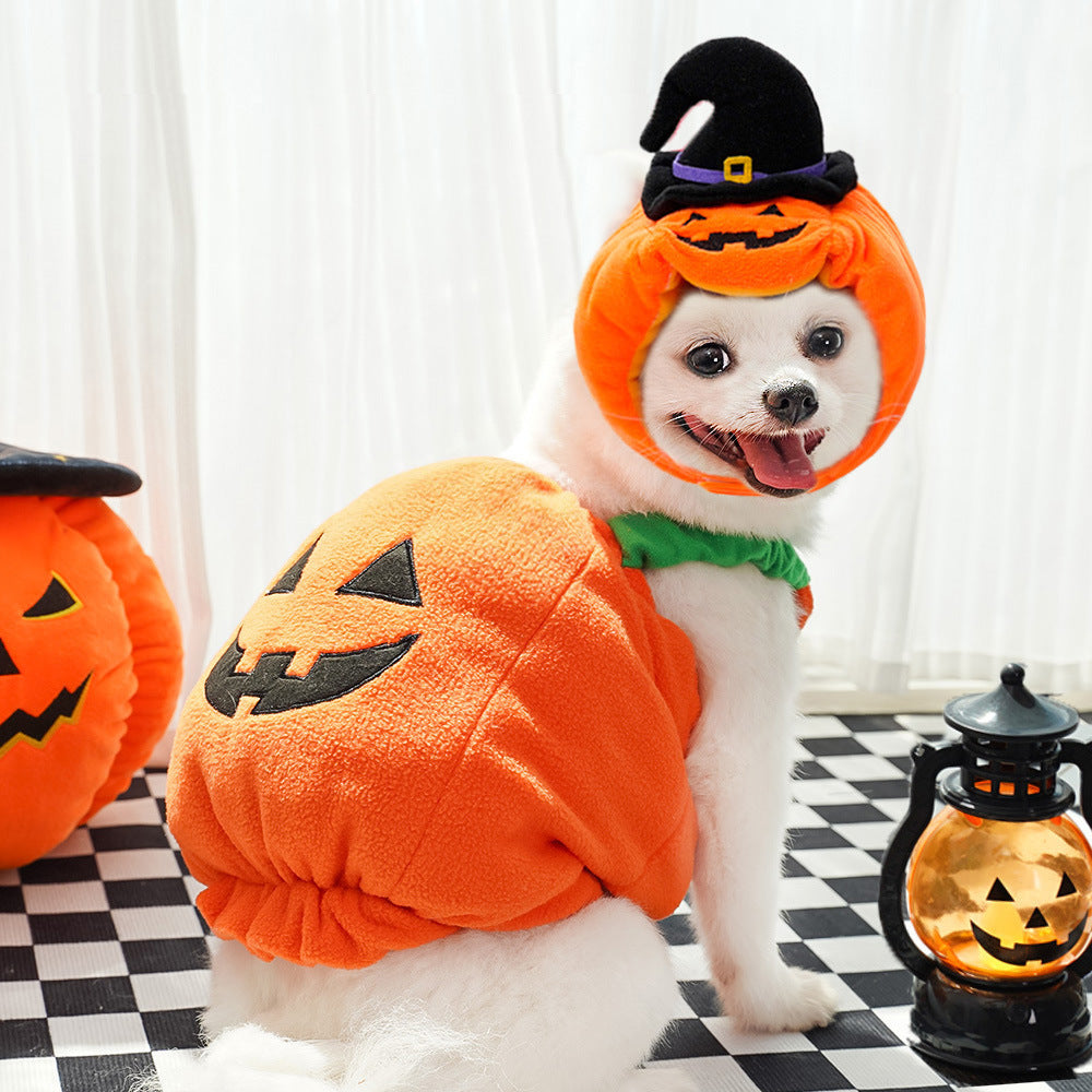 Halloween Costume for Pets | Funny Pumpkin Outfit for Dogs & Cats | Soft Festive Clothes for Small Pets