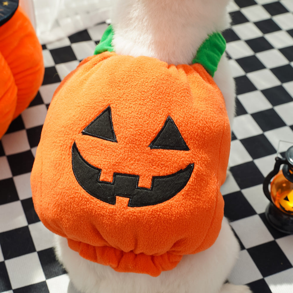 Halloween Costume for Pets | Funny Pumpkin Outfit for Dogs & Cats | Soft Festive Clothes for Small Pets
