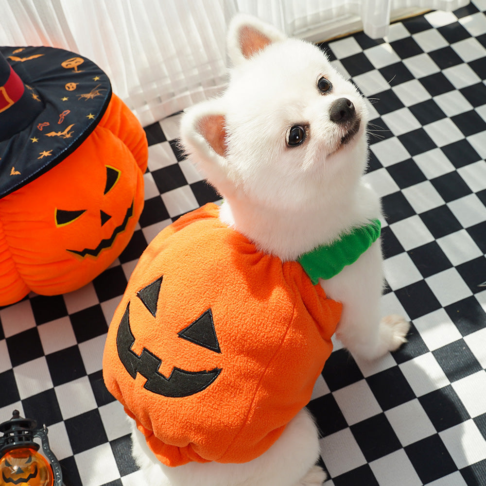 Halloween Costume for Pets | Funny Pumpkin Outfit for Dogs & Cats | Soft Festive Clothes for Small Pets