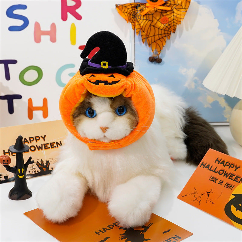 Halloween Costume for Pets | Funny Pumpkin Outfit for Dogs & Cats | Soft Festive Clothes for Small Pets