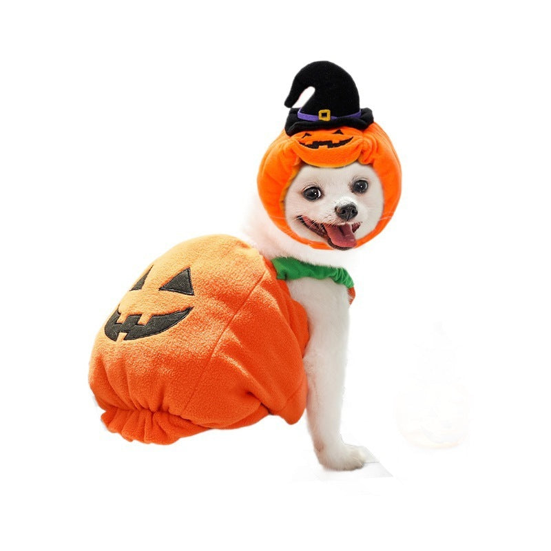 Halloween Costume for Pets | Funny Pumpkin Outfit for Dogs & Cats | Soft Festive Clothes for Small Pets