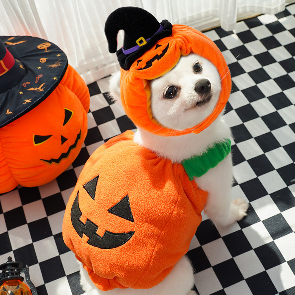 Halloween Costume for Pets | Funny Pumpkin Outfit for Dogs & Cats | Soft Festive Clothes for Small Pets