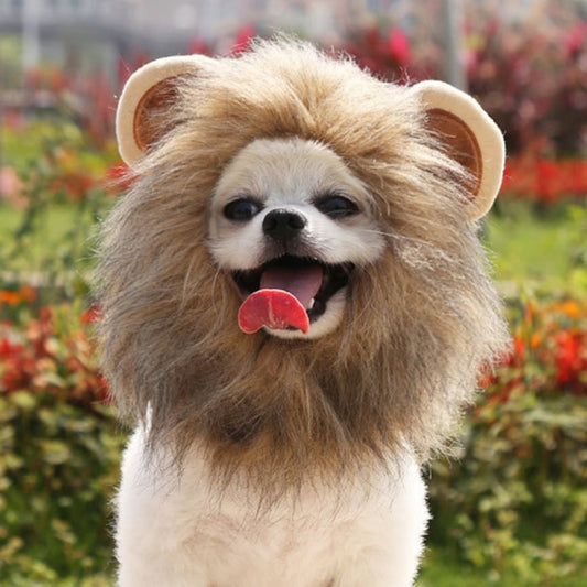 Funny Pet Costume Collection  | Lion Mane, Bunny Ears & Birthday Hats for Dogs & Cats | Cute Cosplay Accessories for Pets