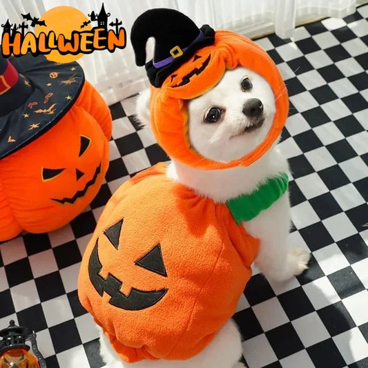 Halloween Costume for Pets  | Funny Pumpkin Outfit for Dogs & Cats | Soft Festive Clothes for Small Pets