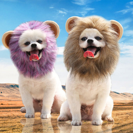 Funny Pet Costume Collection  | Lion Mane, Bunny Ears & Birthday Hats for Dogs & Cats | Cute Cosplay Accessories for Pets