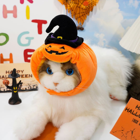 Halloween Costume for Pets  | Funny Pumpkin Outfit for Dogs & Cats | Soft Festive Clothes for Small Pets
